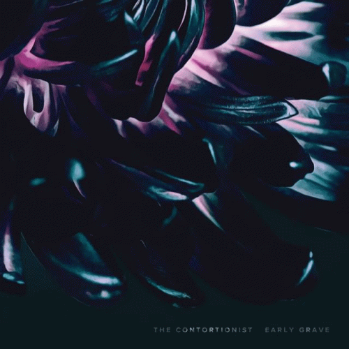The Contortionist : Early Grave
